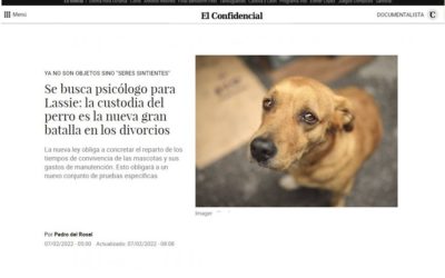 La custodia del perro es la nueva gran batalla en los divorcios