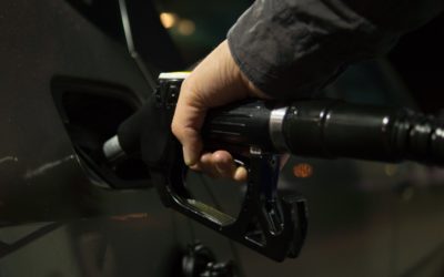 Ayudas públicas y otras medidas para el transporte y el sector primario en respuesta a las consecuencias económicas provocadas por la invasión de Ucrania