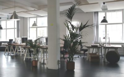 Acercamiento al régimen jurídico del co-living y co-housing