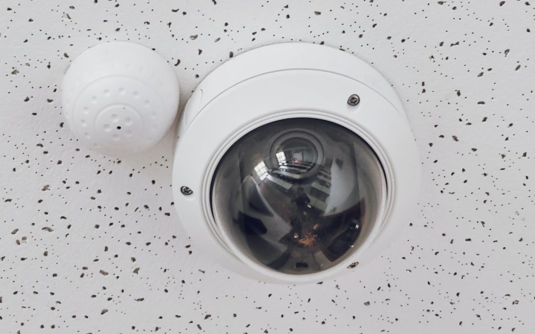 La vigilancia «encubierta» hacia el trabajador del hogar que sustrae bienes a su empleador enfermo y dependiente es prueba válida para el despido