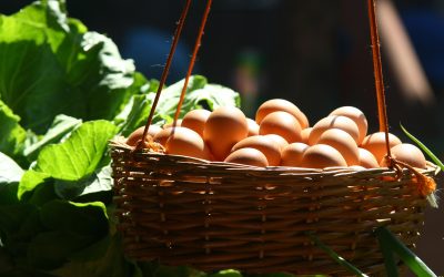 Rebaja temporal del IVA sobre la alimentación de primera necesidad y otras medidas anticrisis