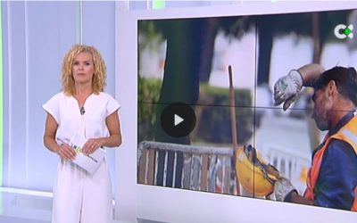 Cómo debe adecuarse la prevención de riesgos laborales al impacto de las olas de calor: entrevista TV Canarias