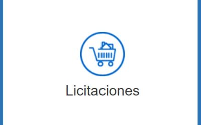 Que las empresas públicas que se financian mediante fondos públicos participen en procesos de licitación no lesiona el principio de libre competencia salvo que presenten ofertas anormalmente bajas