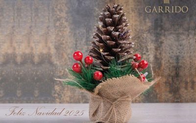 El equipo de Garrido les desea ¡Feliz Navidad 2025!