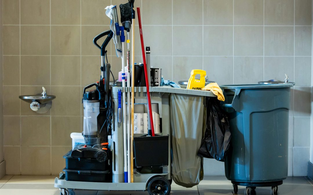 Impedir aplicar la exención del IVA a las AIE que subcontratan los servicios de limpieza en el ámbito sanitario y educativo es contrario a la Directiva IVA
